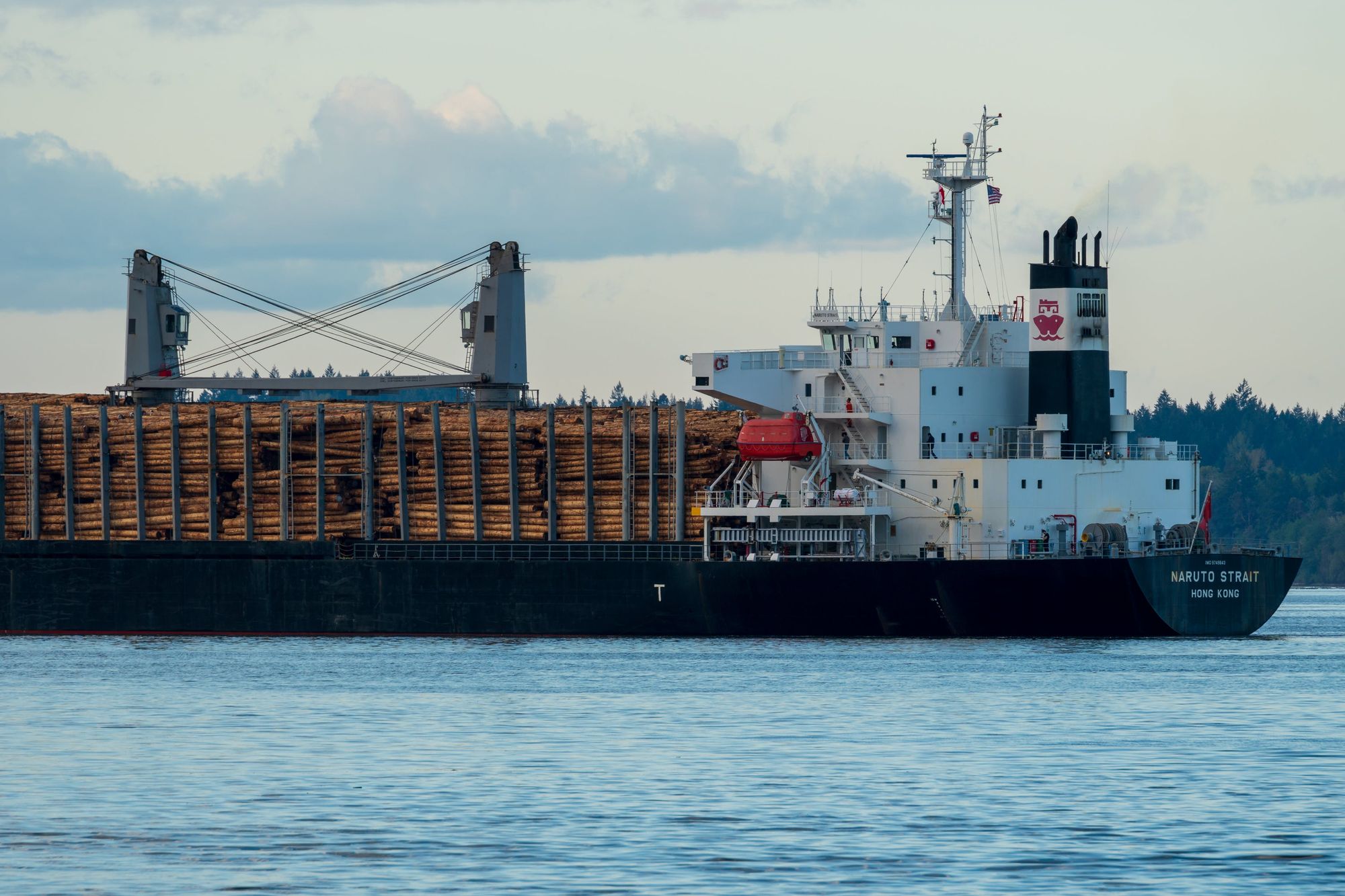 Bulk carrier with cargo of wood
