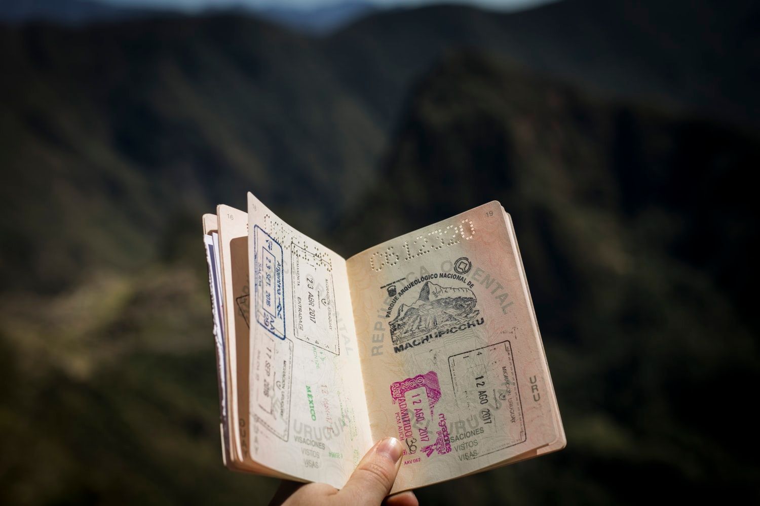 Hand holding an open passport