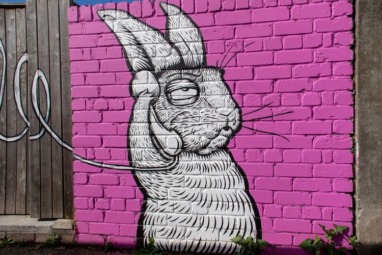 Street art of a rabbit on a landline phone