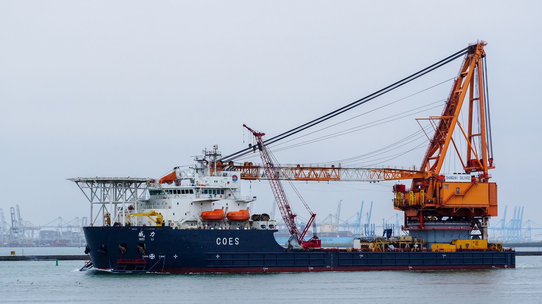 Everything You Need to Know About Crane Vessels - Martide