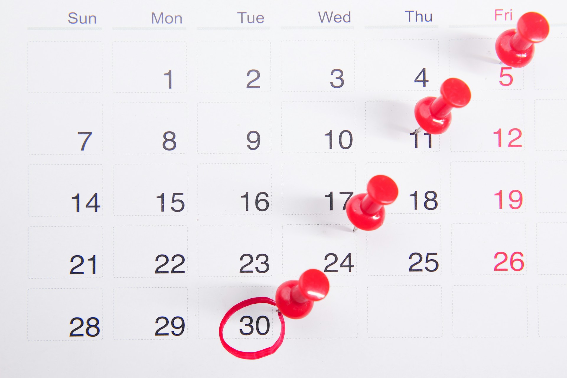 a calendar with dates circled and red pins in it