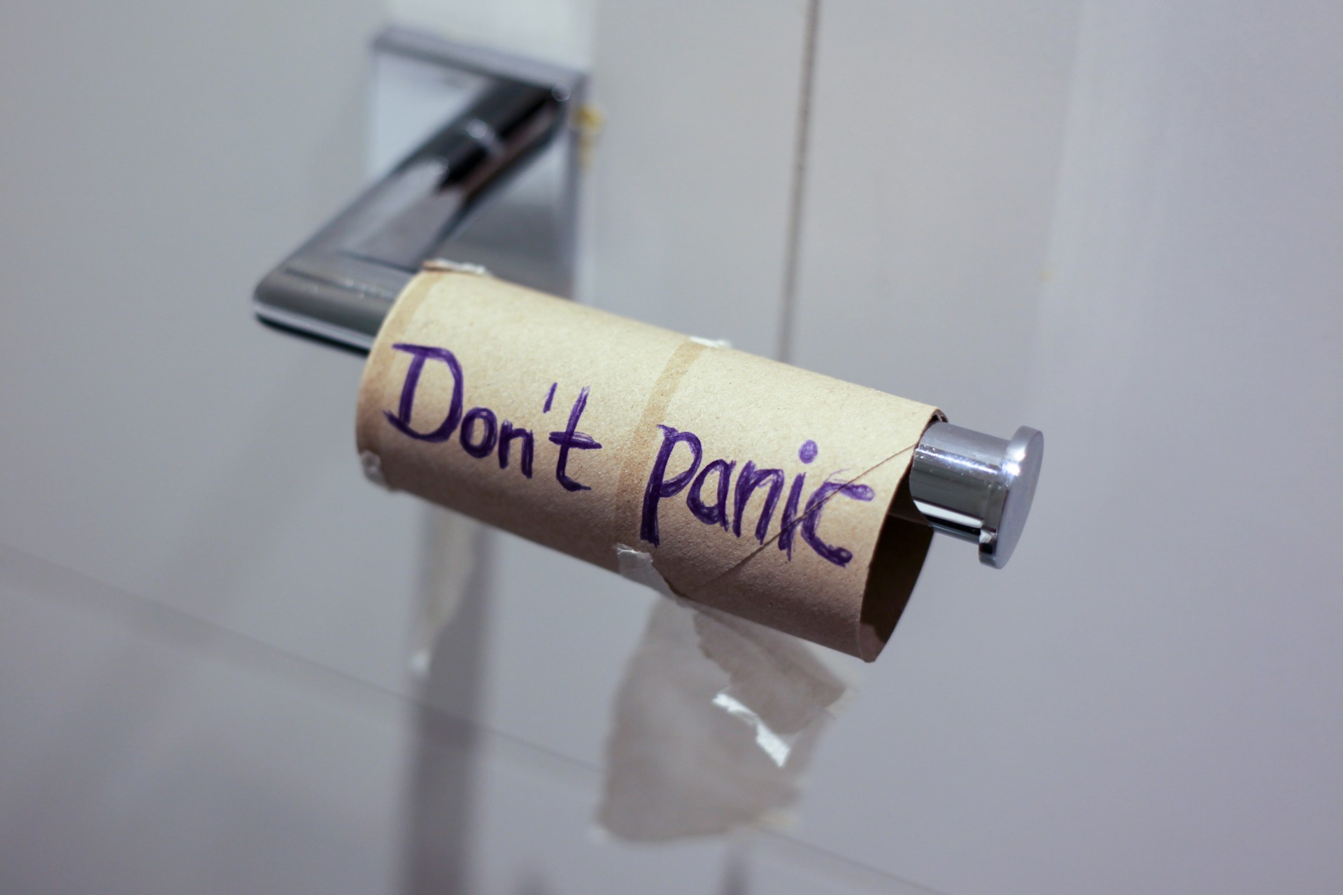 An empty toilet roll with the words 'don't panic' written on it