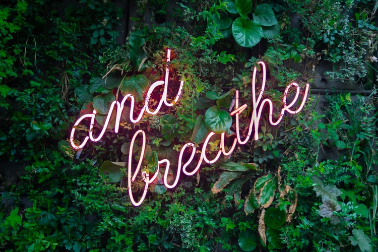 Pink neon sign resting in foliage saying 'and breathe'