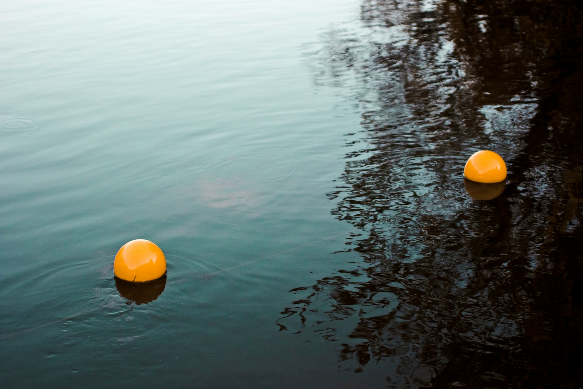 orange buoys in dark water