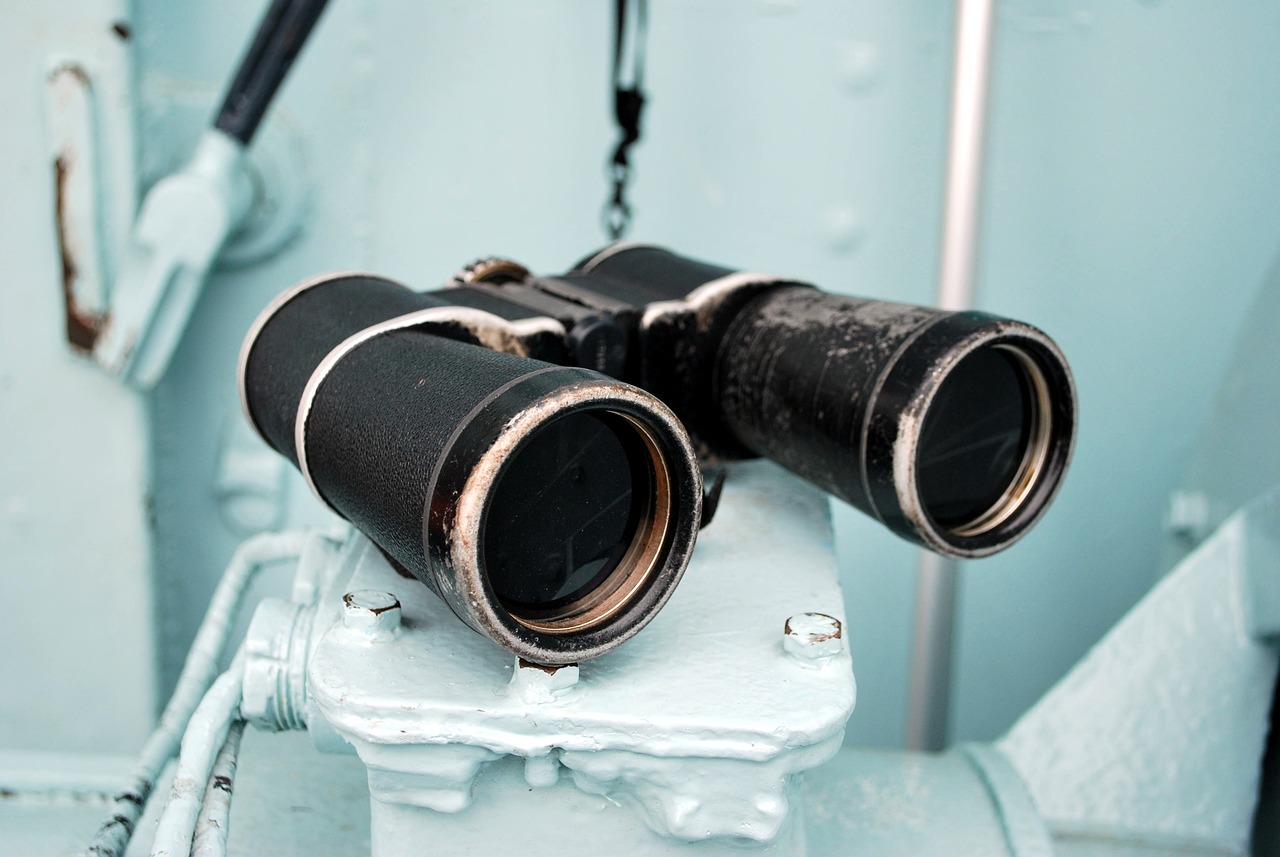 a pair of binoculars 
