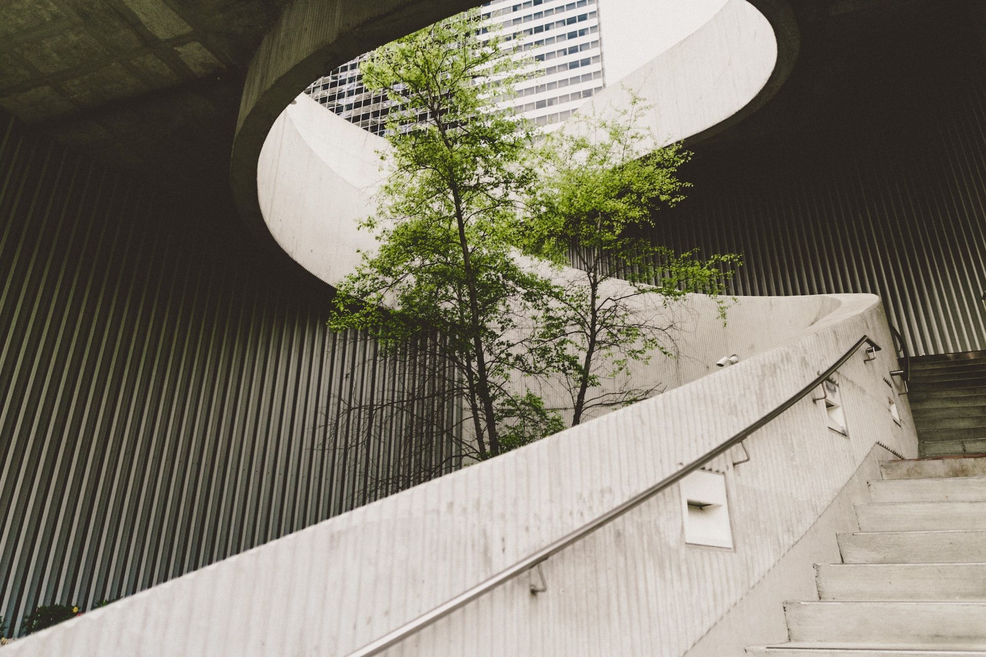 stairwell with tree in it