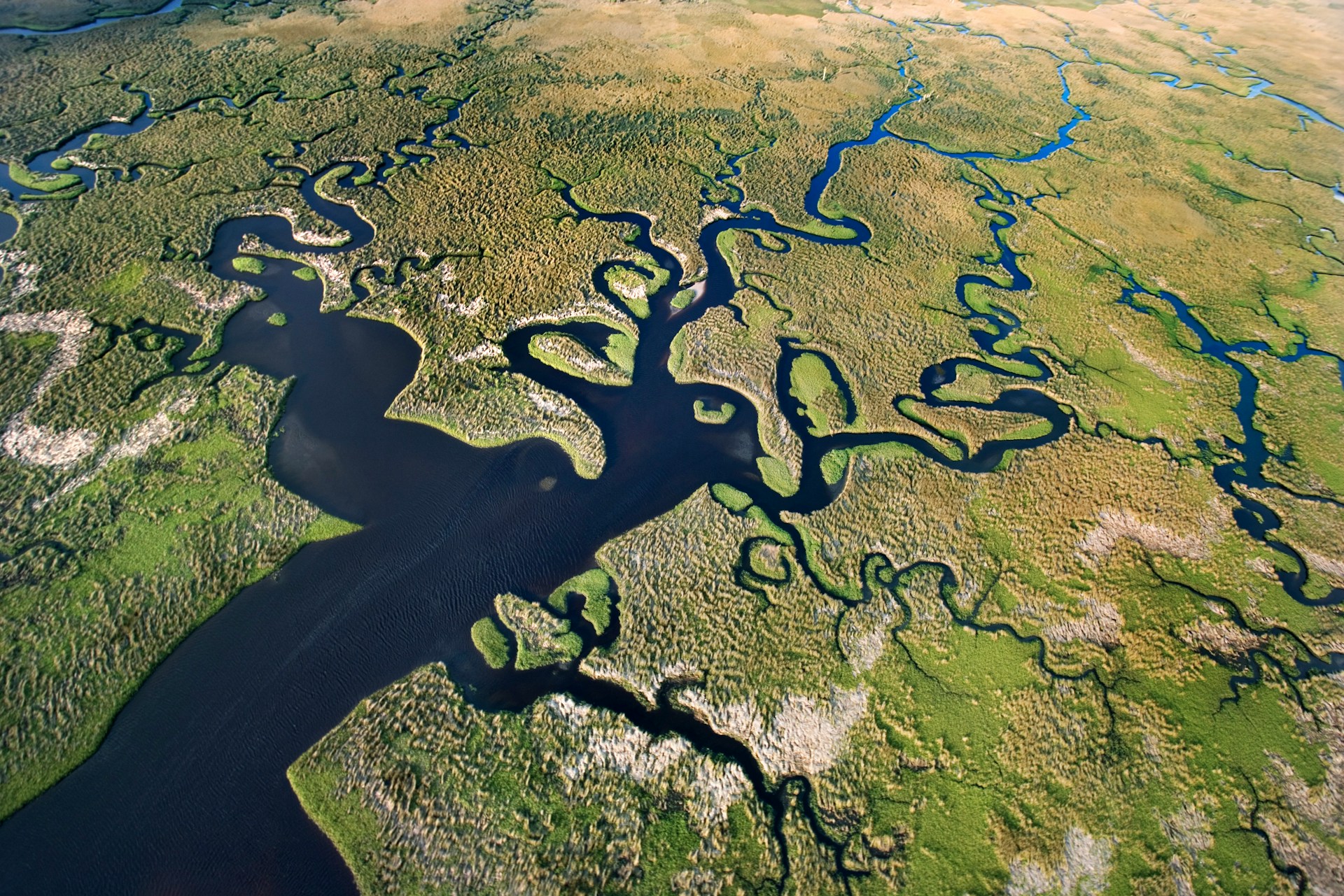 an aerial view of wetlands