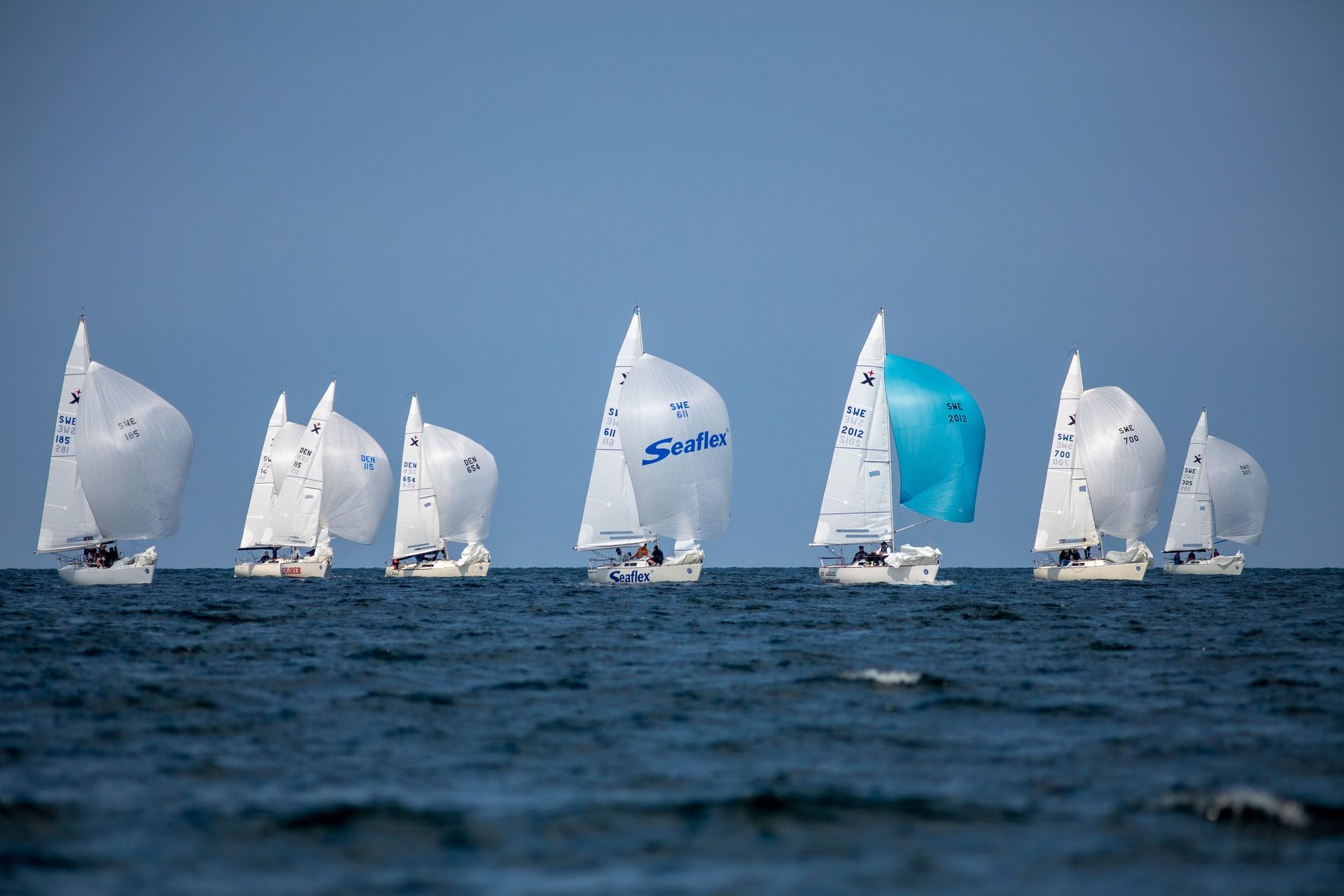 sailing boat regatta