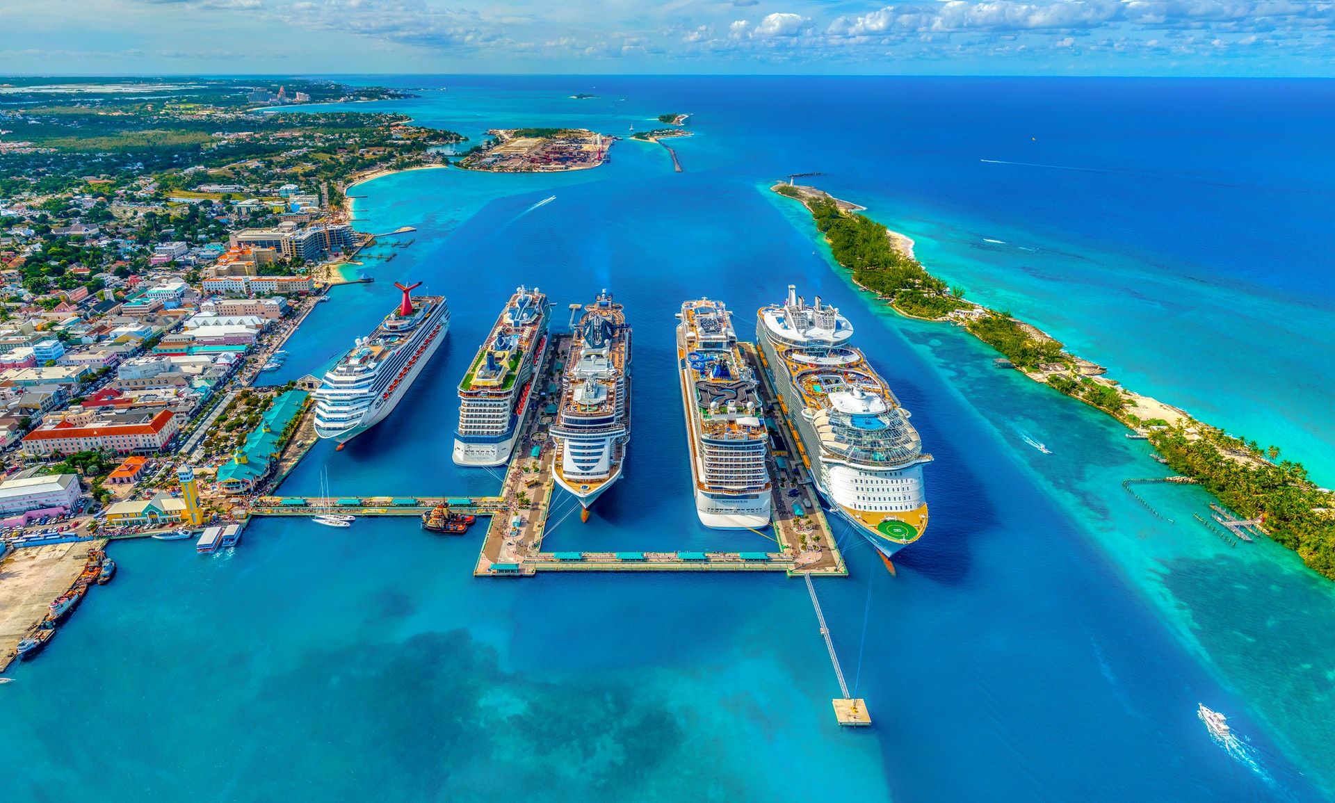 cruise ships in a harbor