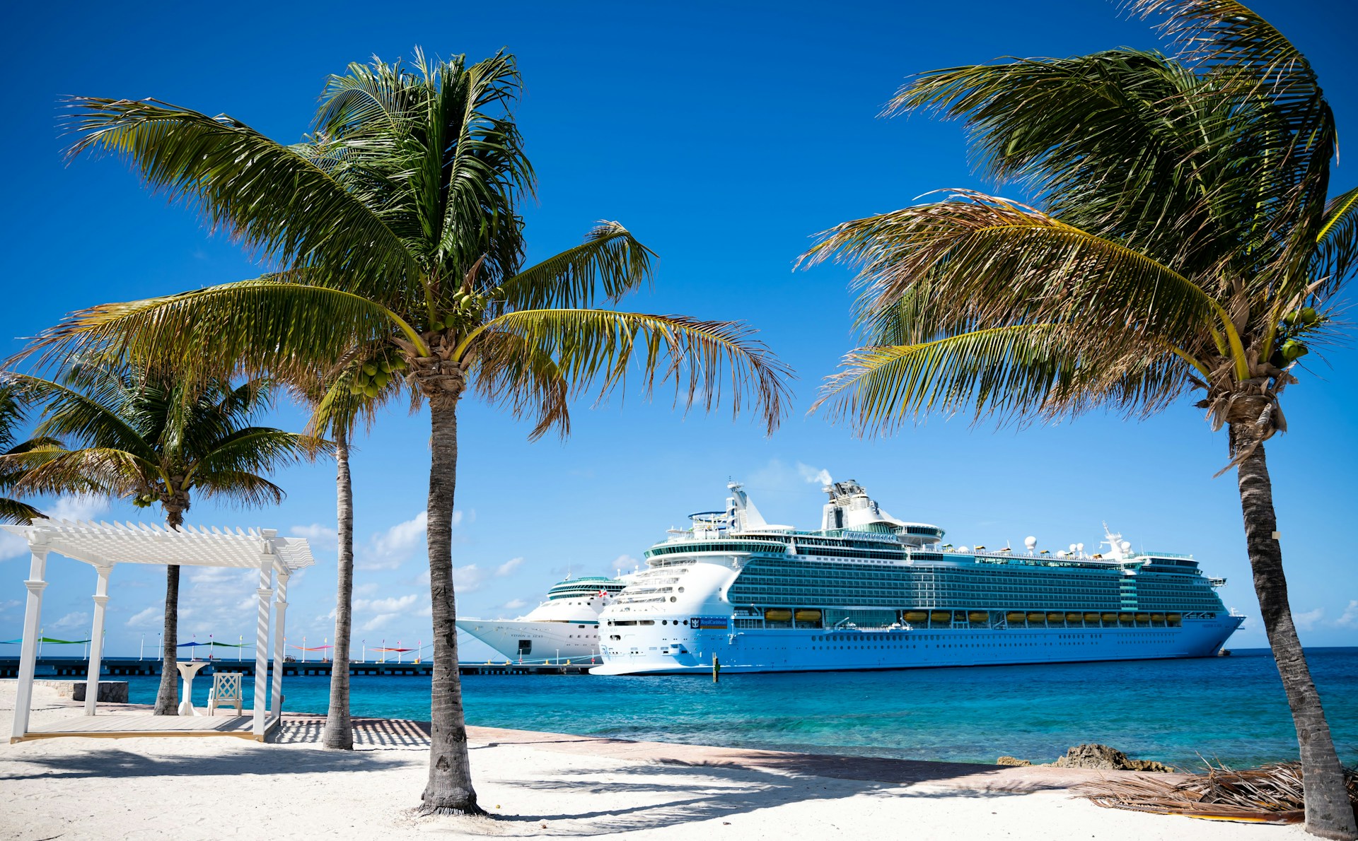 cruise ships moored off a tropical beach