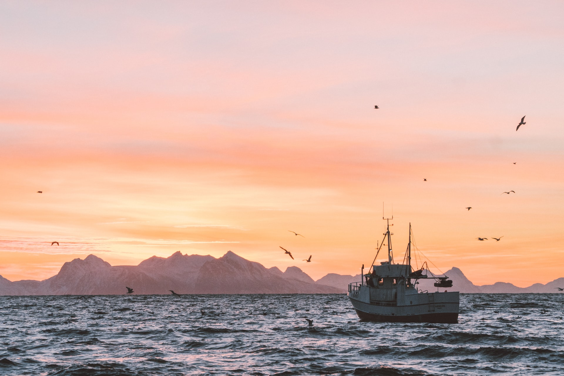 a fishing trawler at sunset