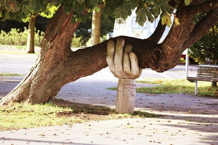 wooden hand holding tree trunk up