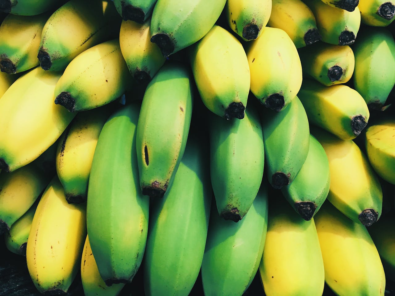 yellow and green bananas