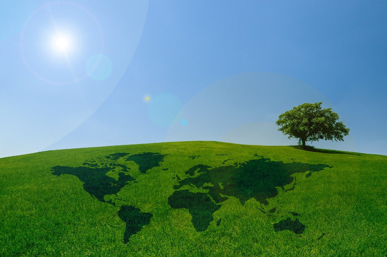 A tree in a field with a map of the earth in the grass