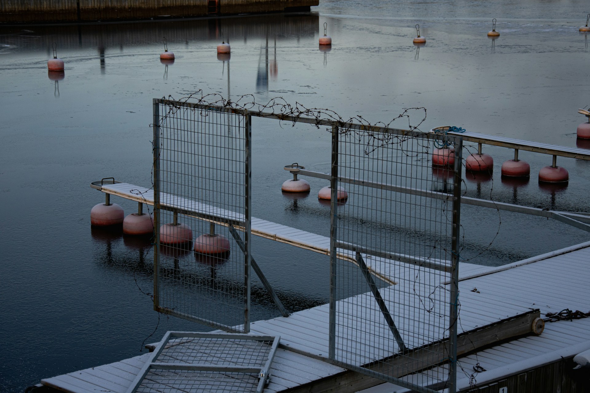 buoys on a dock