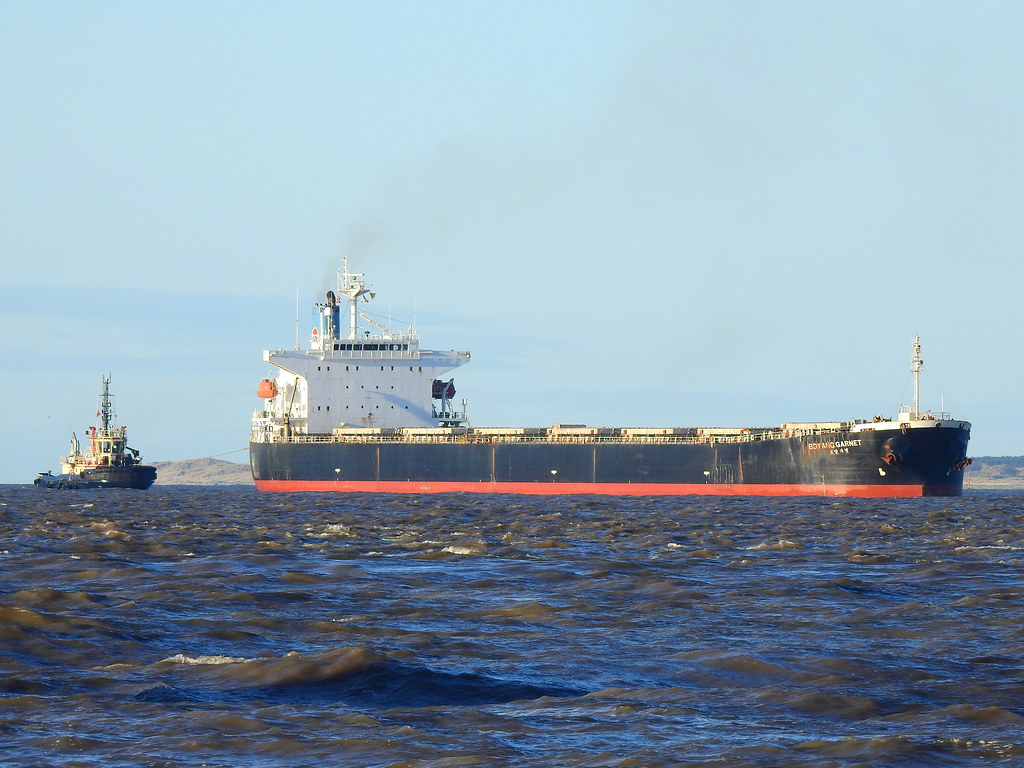 a bulk carrier and tugboat at sea