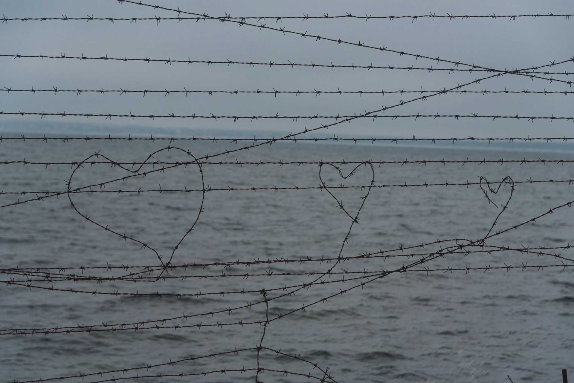 barbed wire hearts in a fence in front of the ocean