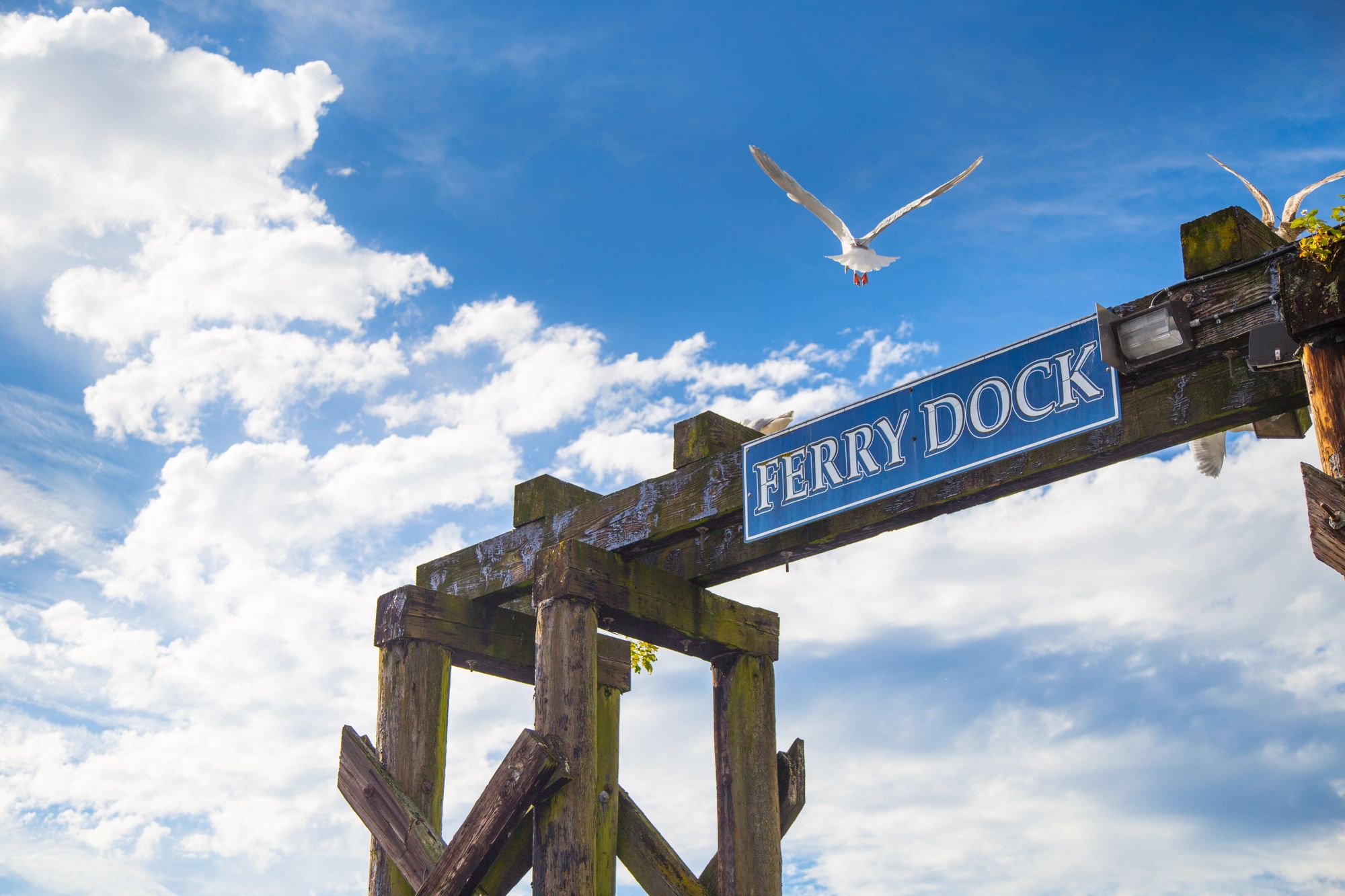 sign saying ferry dock