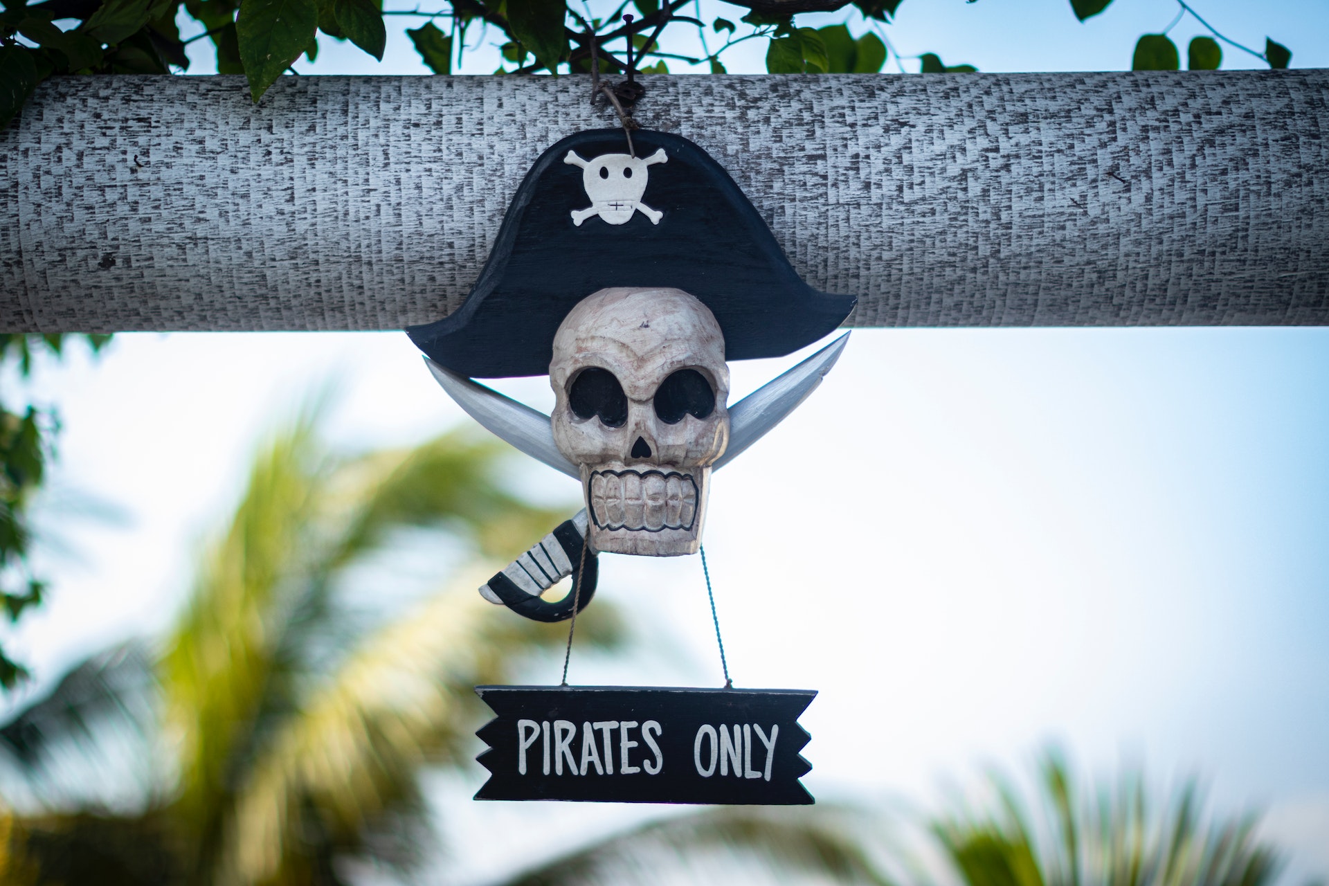 a skull wearing a pirate hat  with a sign saying 'pirates only'