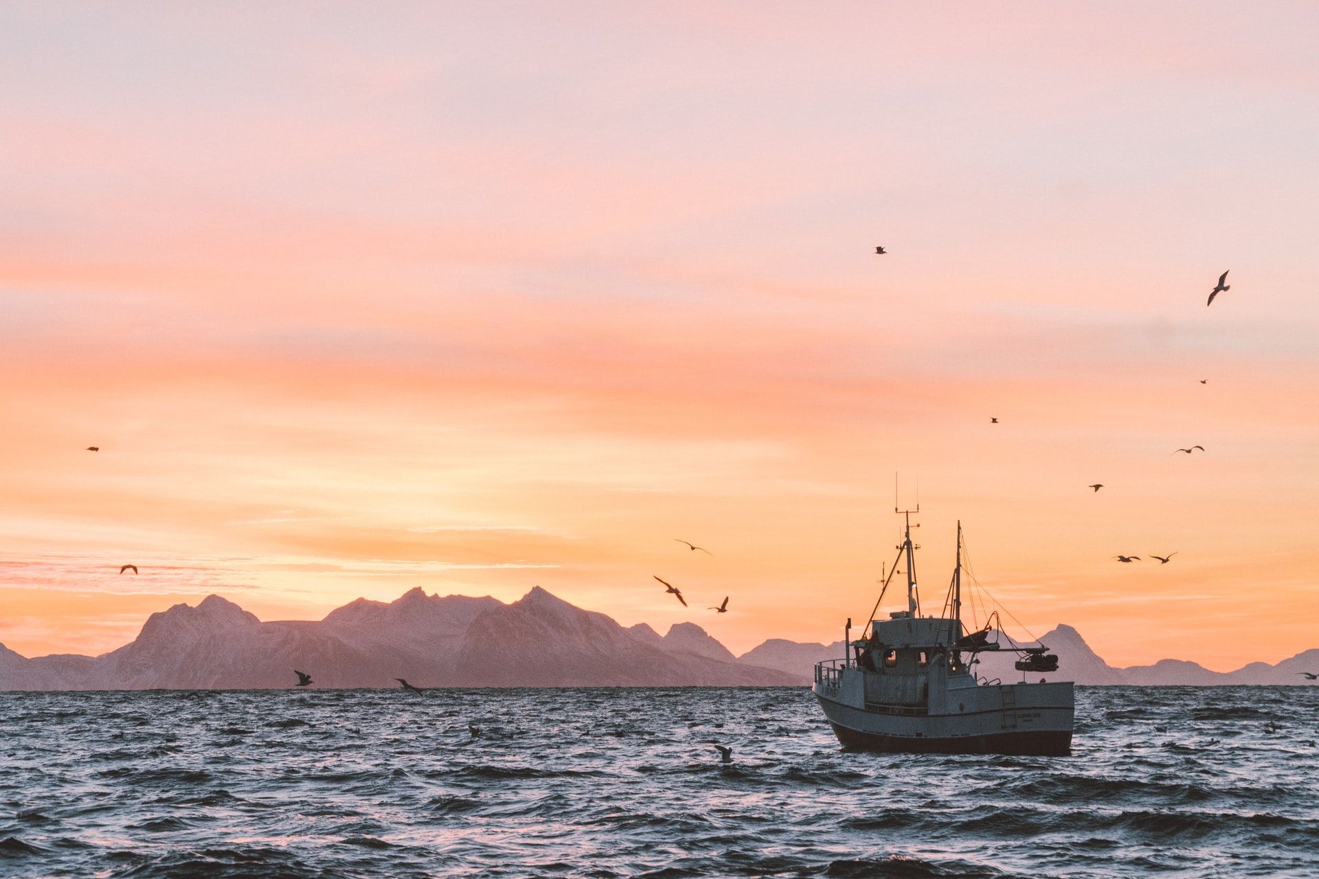 fishing vessel at sunset