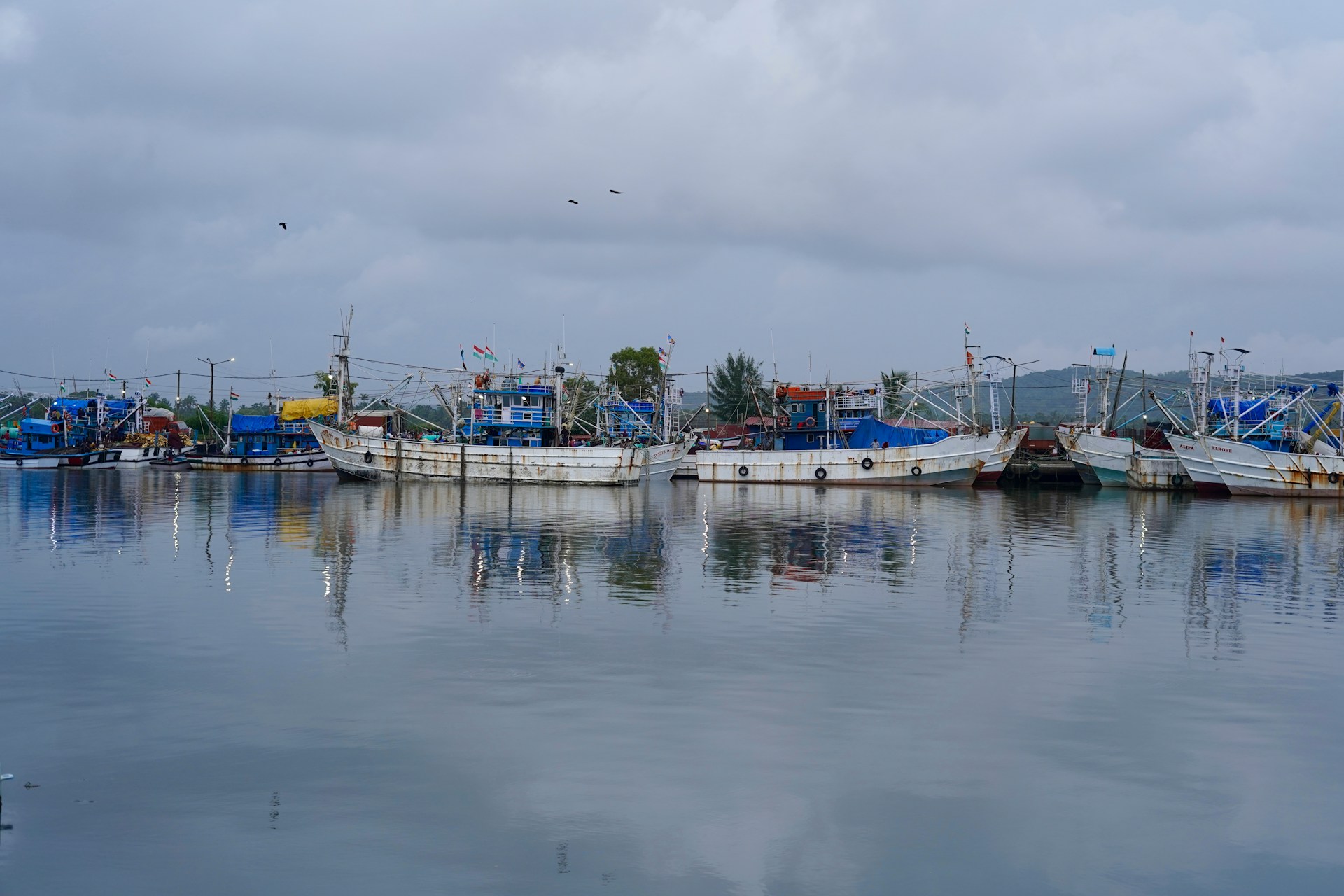 fishing boats in a harbor