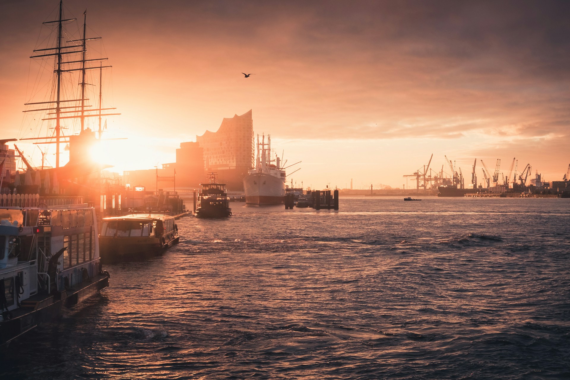 The Port of Hamburg