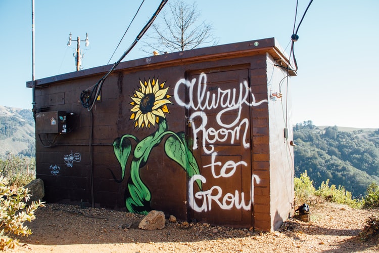 a shed with the words 'always room to grow' painted on it