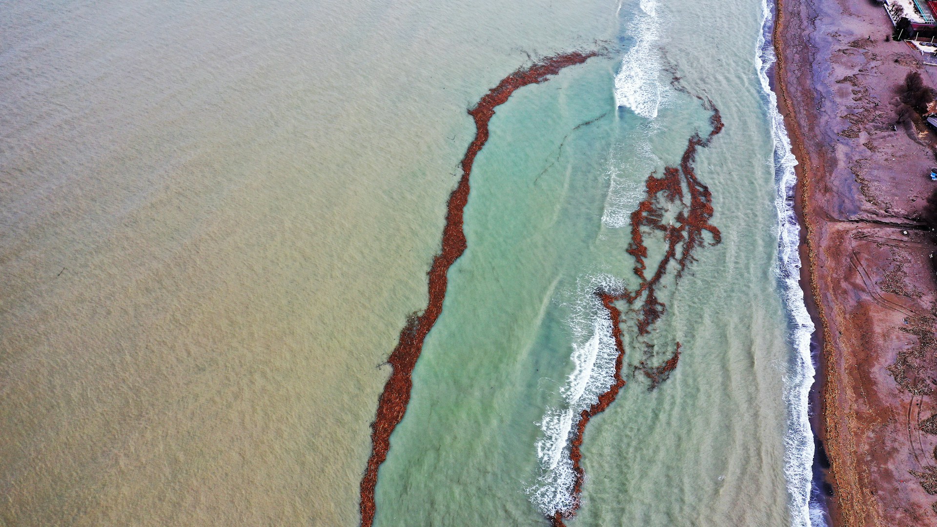 an oil spill on the coastline