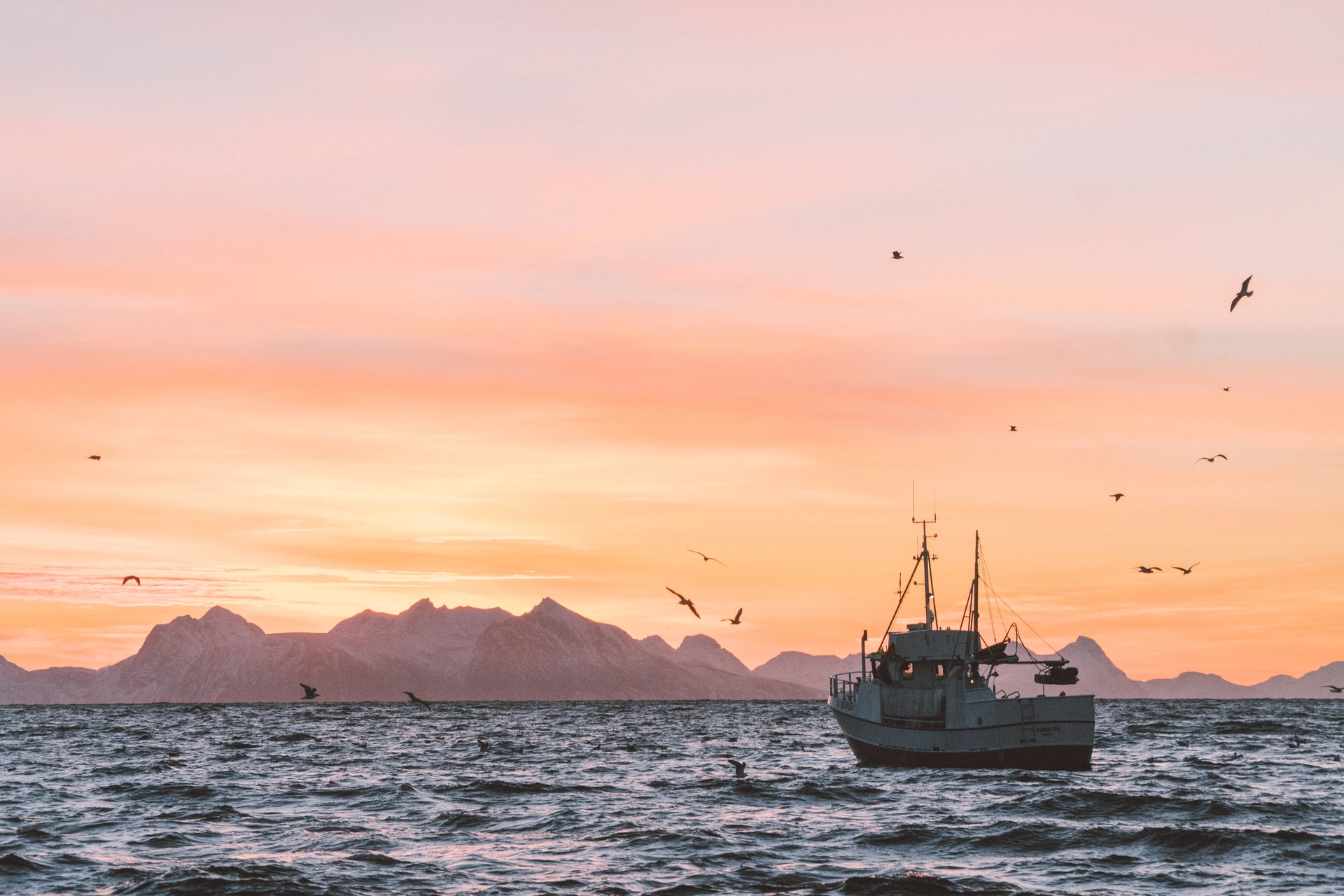 a fishing boat at sunset